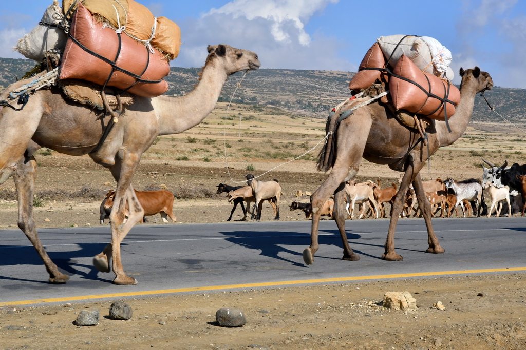 Traffic to Mekele